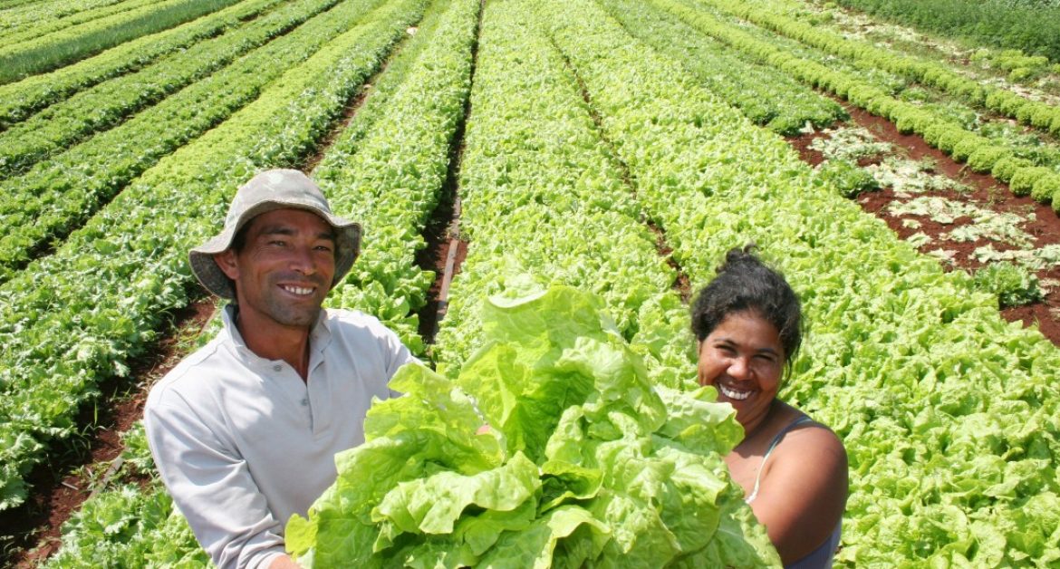 Agricultura familiar do Brasil é 8ª maior produtora de alimentos do ...