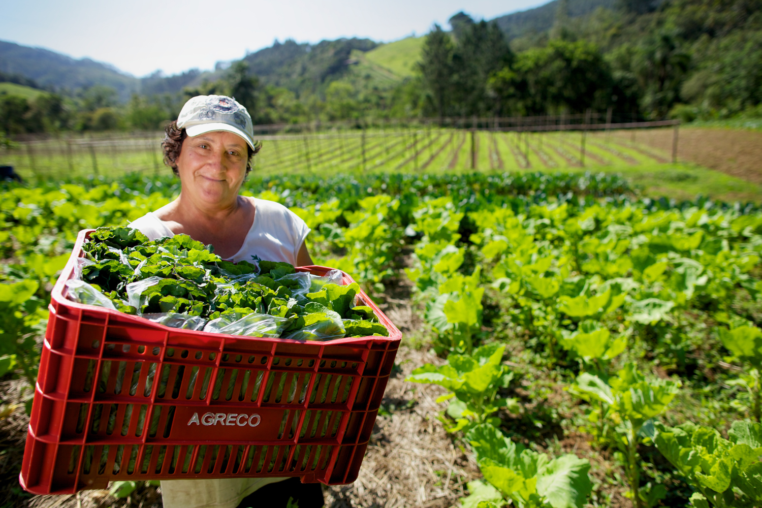 Agricultura familiar do Brasil é 8ª maior produtora de alimentos do ...
