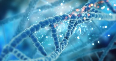 DNA do Brasil: o projeto que pretende mapear o genoma da nossa população DNA do Brasil: o projeto que pretende mapear o genoma da nossa população