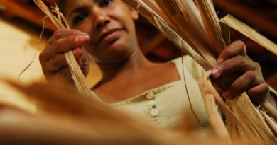 Artesãos do Piauí usam fibra natural para fazer tapetes e ajudar comunidade Artesãos do Piauí usam fibra natural para fazer tapetes e ajudar comunidade