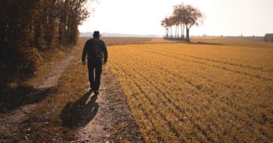 Seu objetivo é caminhar 10.000 passos? A ciência mostra que precisamos de menos Seu objetivo é caminhar 10.000 passos? A ciência mostra que precisamos de menos