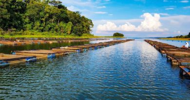 AgroResidência abre primeiro edital para seleção de projetos da aquicultura AgroResidência abre primeiro edital para seleção de projetos da aquicultura